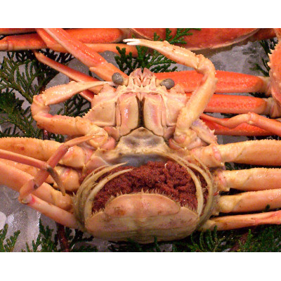 浜坂産松葉蟹夫婦セット(松葉かに・セコかに)【配送不可地域：離島】