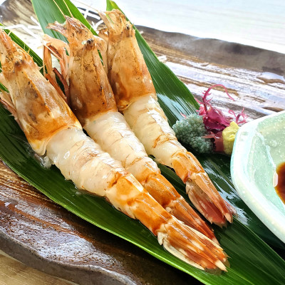 【2ヵ月毎定期便】山陰の地エビ食べ比べコース  全3回【配送不可地域：離島】
