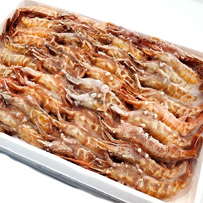 2023年2月発送開始『定期便』山陰の地エビ食べ比べコース　全3回【配送不可地域：離島】