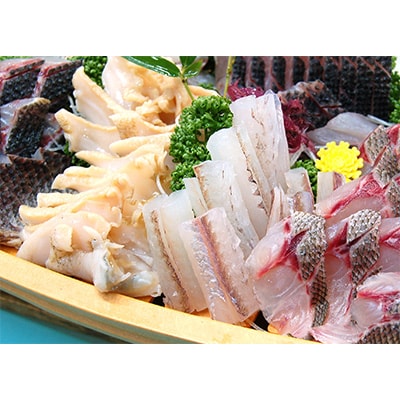 2023年4月発送開始『定期便』山陰の地魚お刺身セット　全3回【配送不可地域：離島】