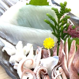 兵庫県新温泉町　白イカ(冷凍)約1.5kg(5-8杯程度入)【配送不可地域：離島】