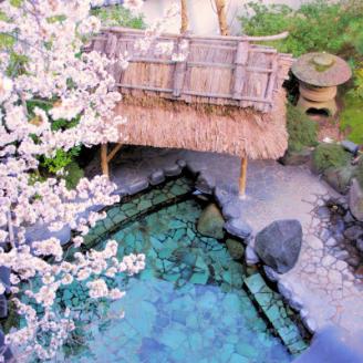 湯村温泉 朝野家 露天風呂付和洋室 一泊二食付宿泊券(2名様ペア・平日限定)