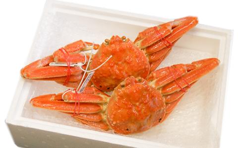 松葉ガニの本場より プロ茹で松葉ガニ(冷凍)　約600g×2枚【配送不可地域：離島】