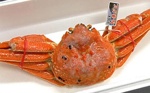 松葉ガニの本場よりプロ茹で松葉ガニ(冷凍)　1枚　約1kg【配送不可地域：離島】