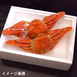 松葉ガニの本場より プロ茹で松葉ガニ(冷凍)　約400g×5枚【配送不可地域：離島】