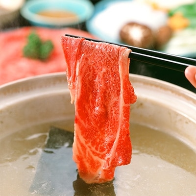 但馬牛肩ローススライスすき焼き・しゃぶしゃぶ用【500g】【配送不可地域：離島】