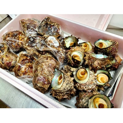 山陰の岩ガキ・サザエ詰合(大きさにより各6～10個)牡蠣は殺菌済　下処理済　生食OK　さざえ砂抜き済【配送不可地域：離島・北海道・沖縄県・東北・関東・九州】