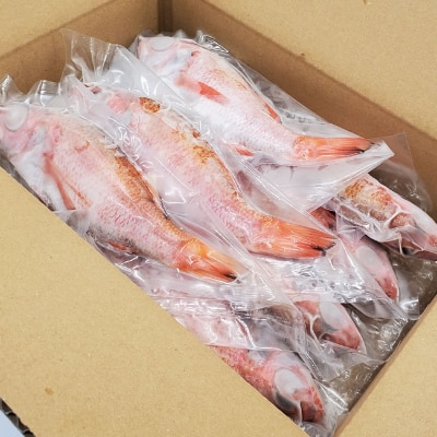 山陰のノドグロ　7尾入　煮付け、塩焼きに!【配送不可地域：離島】