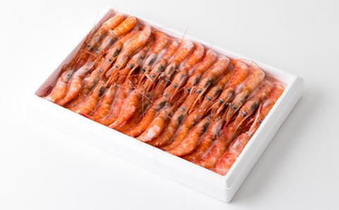 一年でよりおいしい時期のお刺身用甘エビ(船内冷凍)Lサイズ　500g以上　【配送不可地域：離島】