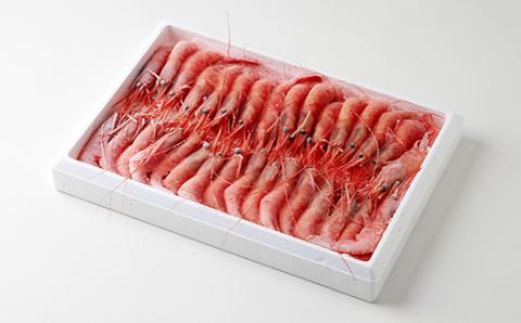 お刺身用甘えび500g(Lサイズ30匹前後)【配送不可地域：離島】