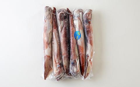 冷凍スルメイカ　約1kg入【配送不可地域：離島】