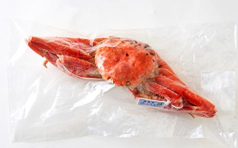 訳あり　釜ゆで松葉ガニ　冷凍　姿　船名タグ付き　400g以上【配送不可地域：離島】