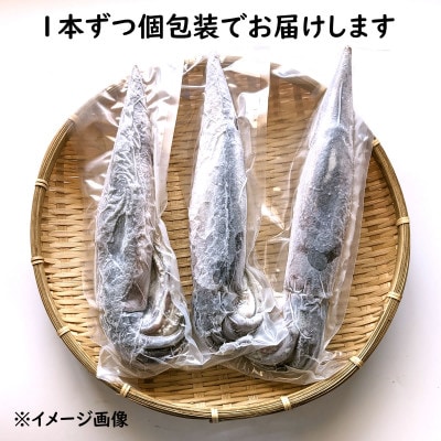 【便利な個包装】朝とれスルメイカ　3杯セット(3杯×200～300g)750g前後　高鮮度3D凍結　【配送不可地域：離島】