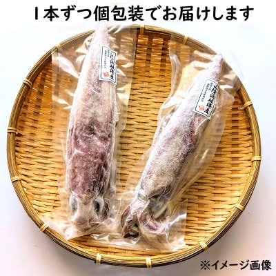 【便利な個包装】高級朝とれ白いか　2杯セット(2杯×300～400g)700g前後　高鮮度3D凍結【配送不可地域：離島】