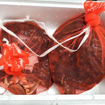 天然　活モクズガニ　約2kg　兵庫県新温泉町　【配送不可地域：離島・北海道・沖縄県・東北・九州】