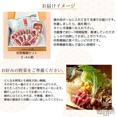 【冷凍・国産】兵庫県産 但馬鴨 鴨鍋セット(3～4人前)|無添加スープ付・BBQやアウトドアにも【配送不可地域：離島】