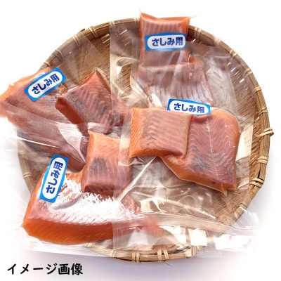 薬剤未使用で安心　国産とっとり琴浦グランサーモン刺身用　500g訳あり 小分け個包装で便利 ご当地【配送不可地域：離島】