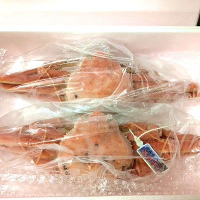 限定品 希少な松葉がに ボイル 2枚 産地しか手に入らない脱皮直前のレアな「二枚皮松葉がに」ソフト蟹【配送不可地域：離島】