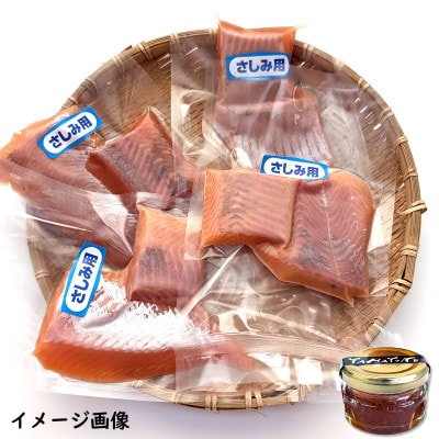 薬剤未使用で安心　国産とっとり琴浦グランサーモン刺身用500g いくら付 訳あり 小分け個包装で便利【配送不可地域：離島】
