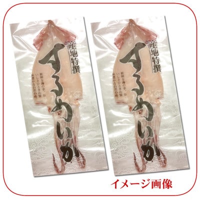 肉厚スルメイカ 一夜干し(大)2枚　個包装 山陰 名産 昔ながらの甘塩するめ 兵庫県新温泉町【配送不可地域：離島】