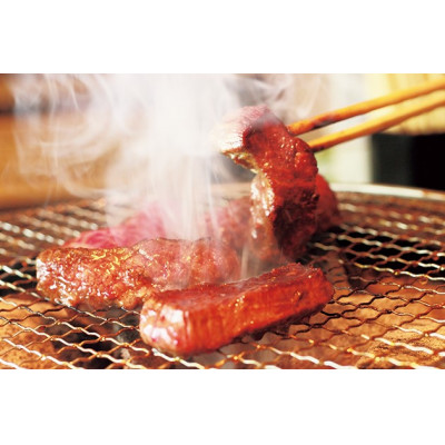 但馬牛　焼き肉用(霜降り部位　500g)【配送不可地域：離島】