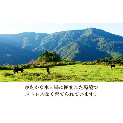 但馬牛　バラすき焼き用　500g【配送不可地域：離島】