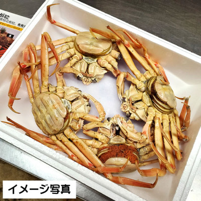 松葉ガニの本場　訳あり・釜茹でセコガニ(冷蔵)中サイズ　5枚　兵庫県新温泉町　【配送不可地域：離島・北海道・沖縄県・東北】