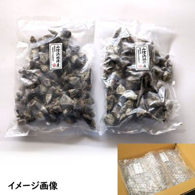 亀の手　大サイズ　500g×2袋　計1kg　兵庫県新温泉町　【配送不可地域：離島】