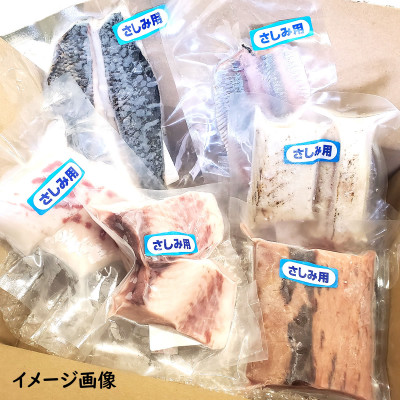 山陰の地魚お刺身セットB　個包装のため、使いやすく、盛合せもできます!にぎり寿司、手巻き寿司などにも【配送不可地域：離島】