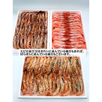 【2ヵ月毎定期便】山陰の地エビ食べ比べコース  全3回【配送不可地域：離島】