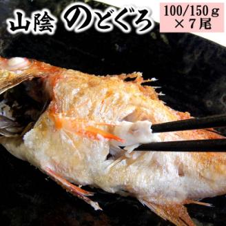 山陰のノドグロ　7尾入　煮付け、塩焼きに!【配送不可地域：離島】