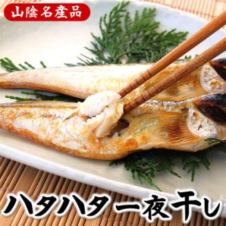 山陰の大型ハタハタ一夜干し　10匹入り【配送不可地域：離島】