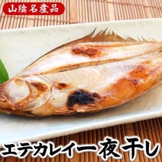 山陰名産エテカレイ一夜干し　6枚　兵庫県新温泉町　【配送不可地域：離島】
