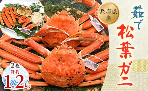 松葉ガニの本場より プロ茹で松葉ガニ(冷凍)　約600g×2枚【配送不可地域：離島】