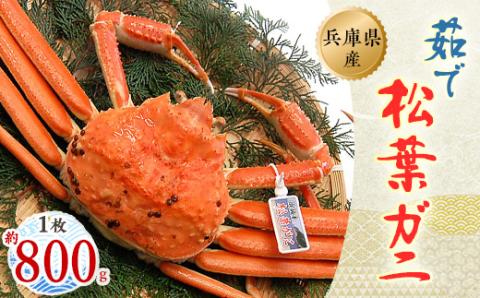 松葉ガニの本場より プロ茹で松葉ガニ(冷凍)　1枚　約800g【配送不可地域：離島】