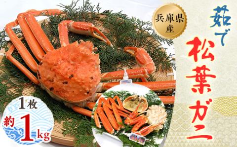 松葉ガニの本場よりプロ茹で松葉ガニ(冷凍)　1枚　約1kg【配送不可地域：離島】