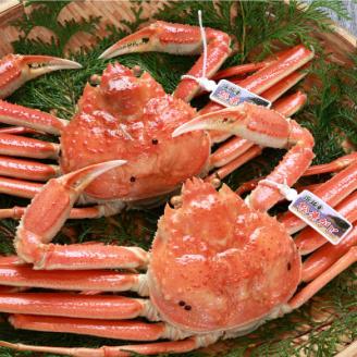 松葉ガニの本場より プロ茹で松葉ガニ(冷凍)　約400g×2枚【配送不可地域：離島】