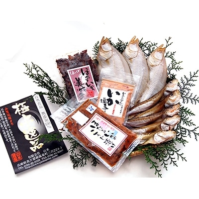 山陰の干物とイカのグルメセット【配送不可地域：離島】