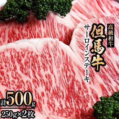 但馬牛サーロインステーキ2枚入り【250g×2】【配送不可地域：離島】
