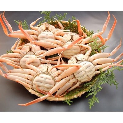 松葉ガニの本場　訳あり・生セコガニ(冷蔵)中サイズ　5枚　兵庫県新温泉町　【配送不可地域：離島・北海道・沖縄県・東北】