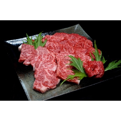 但馬牛ロースと赤身 店長おすすめ部位 食べくらべ 500g【配送不可地域：離島】