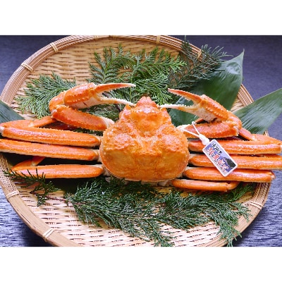 浜坂産タグ付き茹で松葉かに(1枚　約700～800g)【配送不可地域：離島】