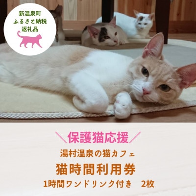 【保護猫応援】湯村温泉の猫カフェ　猫時間の1時間利用券(ワンドリンク付き)2枚