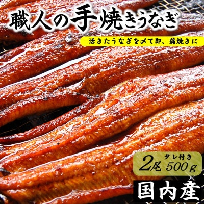 職人の手焼き　活〆うなぎ蒲焼　2尾入り(計500g)　国産【配送不可地域：離島】