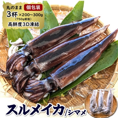 【便利な個包装】朝とれスルメイカ　3杯セット(3杯×200～300g)750g前後　高鮮度3D凍結　【配送不可地域：離島】