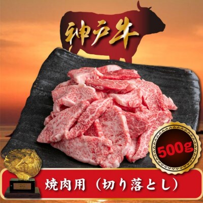 訳あり 神戸牛 焼肉(切り落とし)　500g　SOY1【配送不可地域：離島】