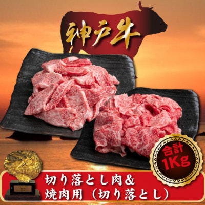 訳あり 神戸牛 切り落とし肉＆焼肉(切り落とし)　500gずつ　計1000g　SOSY2【配送不可地域：離島】