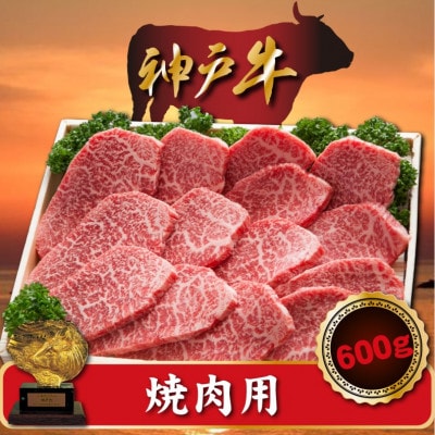 神戸牛 焼肉用　600g　SOY2【配送不可地域：離島】