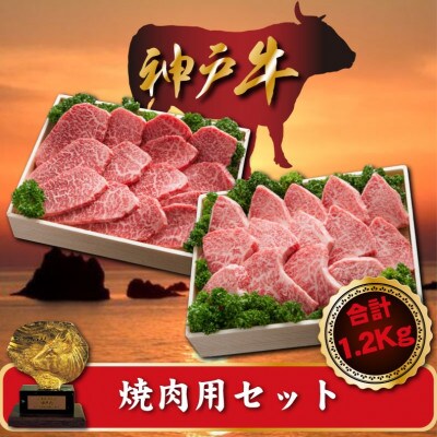 神戸牛 焼肉用セット　合計1200g　SOYS5【配送不可地域：離島】