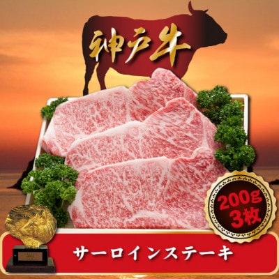 神戸牛 サーロインステーキ　200g×3枚　SOST5【配送不可地域：離島】